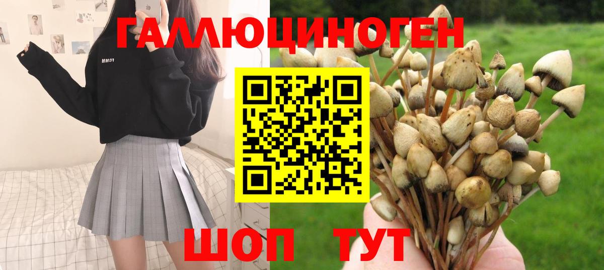 Галлюциногенные грибы Psilocybine cubensis  Вход с VPN  Псилоцибиновые грибы Cubensis  Полысаево 